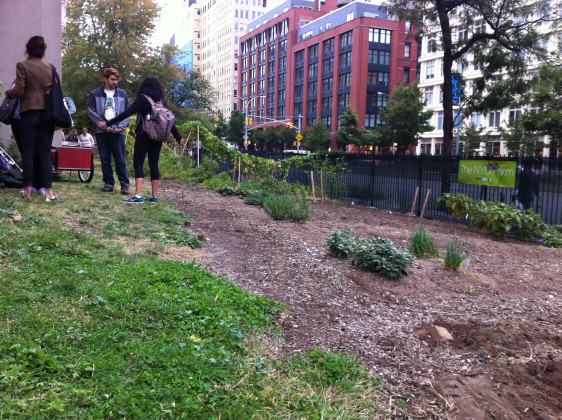 NYU Urban Farm. Photo: Cecilia Herzog