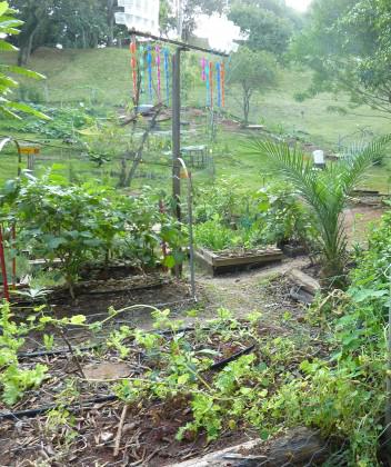 "Praça das Corujas" (Owl's Place): lawn in a small park transformed in a community productive garden in São Paulo, Brazil. Photo: Cecilia Herzog