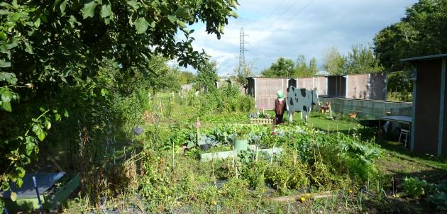 "Jardin Familliaux et Colectifs" Family and Collective Gardens: this is close to the Chemin de l´Île Park along the Seine, in Nanterre - a city neighboring central Paris. Below the electrical transmission lines there are allotment gardens where city dwellers have direct contact with nature. Photo: Cecilia Herzog