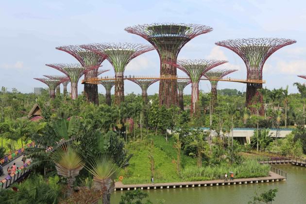 ‘Supertrees’, Singapore. Photo credit: Wikimedia Commons: http://commons.wikimedia.org/wiki/File:Supertree_Grove,_Gardens_by_the_Bay,_Singapore_-_20120712-02.jpg