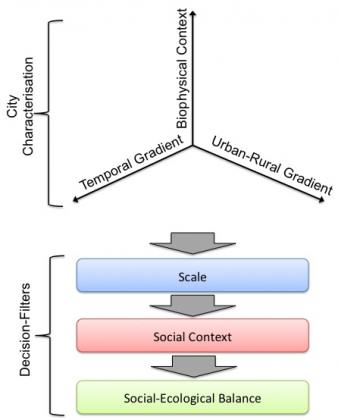 The stages of determining biodiversity goals across the urban nature continuum. First, the position of the city is determined by assessing the three axes: urban-rural gradient, temporal gradient, and biophysical context. Then the three filters of scale, social context and social-ecological balance are applied. Credit: C. Ives