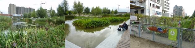 Martin Luther-King Park: Offers an array of ambiances combining biodiversity, water natural drainage and filtration, recreation and vegetable garden for school students. Photos: Cecilia Herzog
