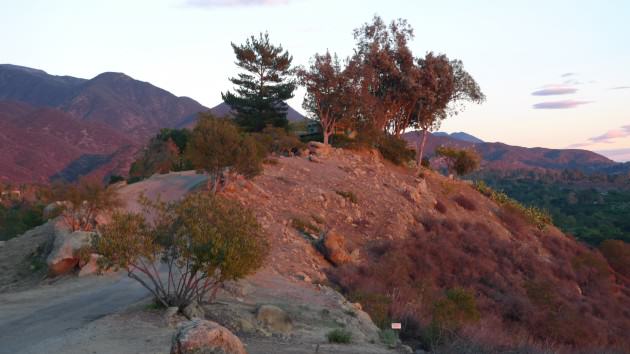 The ExUrban hills outside Los Angeles. Photo: Stephanie Pincetl