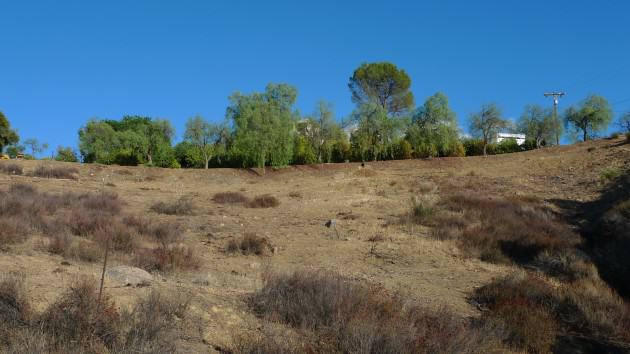 The ExUrban hills outside Los Angeles. Photo: Stephanie Pincetl