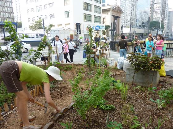 Claudia Visoni one of the co-founders of “Hortelões Urbanos” working in the vegetable garden in the financial district of São Paulo, over a tunnel in a central area between an extremely busy street, Avenida Paulista. Photo: Cecilia Herzog