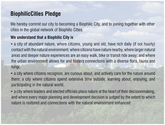 Pledge_1