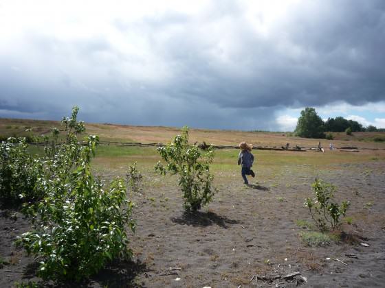 Kids exploring West Hayden Island Grasslands. Photo: Bob Sallinger