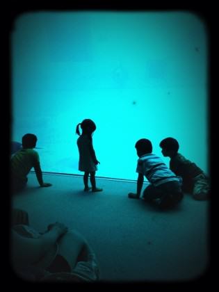 Children captivated by an aquarium exhibit. Photo: Andre Mader