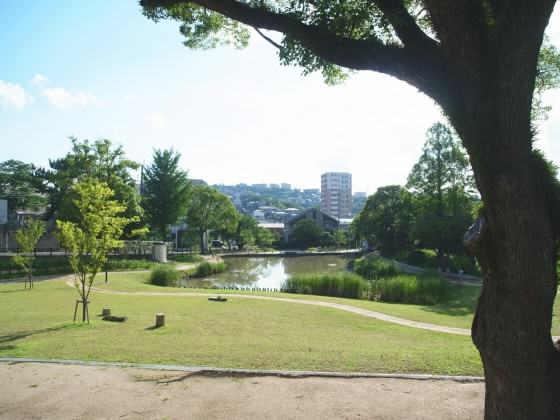 The project site after the renovation. Photo: Keitaro Ito