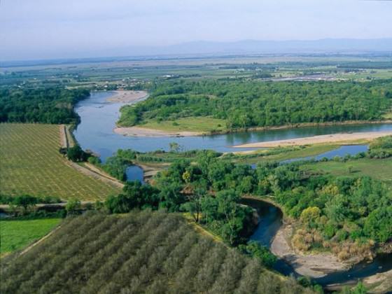 Riparian edge next to agriculture. Photo: Geoffrey Fricker, Univ. of California Agriculture