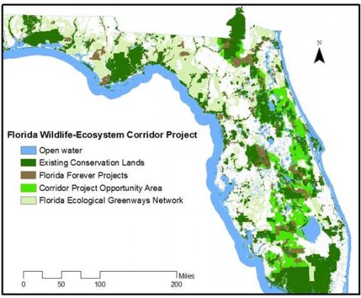 Florida Wildlife Corridor Initiative 