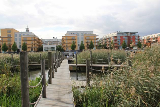 Large parts of the southern Lake shore was planted with reeds where a popular system of recreational boardwalks was built. Photo: Maria Ignatieva