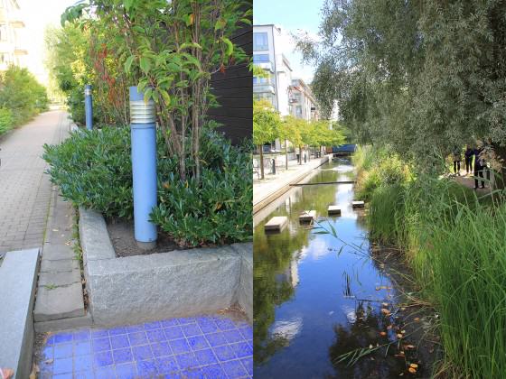 Stormwater management system. Photos: Maria Ignatieva