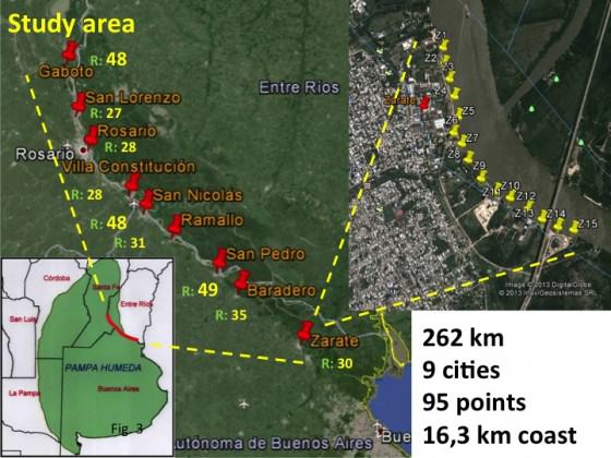 Fig. 3 Analyzed cities using the urban-exurban gradient bird sampling method along the riparian coast.