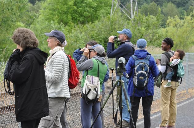 Social benefits such as birdwatching, community interaction, and environmental literacy are seldom, if ever, calculated in ecosystem services analyses