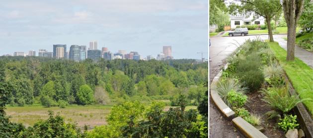 LEFT: Urban natural areas such as 160-acre Oaks Bottom Wildlife Refuge in downtown Portland provide multiple ecosystem services including maintaining biodiversity (more than 100 species of birds have been recorded at Oaks  Bottom) in the heart of the city, multiple passive recreational opportunities, waster quality benefits, floodplain storage, and environmental education. RIGHT: At the other range of the size spectrum built green infrastructure like this curb extension not only protects the city's $1.44  billion investment in its Combine Sewer Overflow program by keeping stormwater out of the city's grey, piped system but also create a more aesthetic green street and contributes to traffic calming, improving quality of life in the neighborhood. 