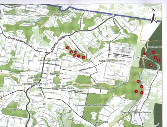 An example of a returned map from the Lower Hunter open space survey. The numbered red dots are stickers placed by a survey participant, showing the green spaces that are valued for different reasons.