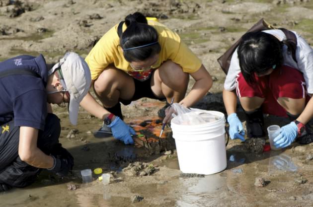 CMBS volunteers. Photo: National Parks Board of Singapore