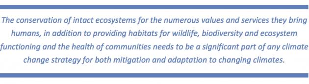 Conservation of Intact ecosystems