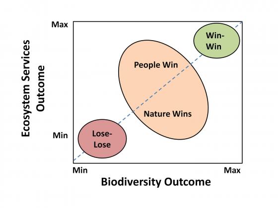 Fig. 1 Conceptual diagram showing how decisions made entirely within a single ideology can result in win-lose situations, and therefore highlighting the importance of balancing the two ideologies in order to deliver a win-win situation.