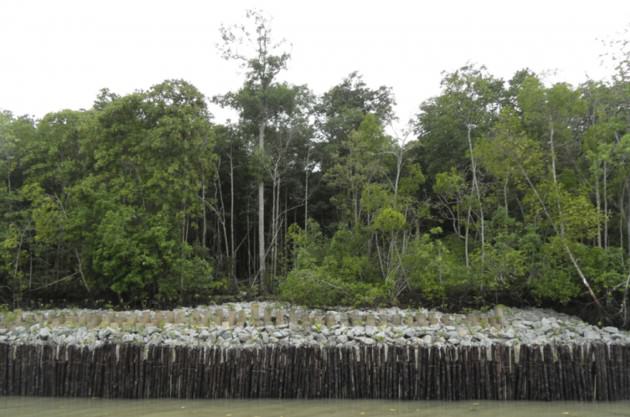 Hybrid coastal protection infrastructure comprising a low rock revetment interspersed with mangrove plants Photo: National Parks Board of Singapore