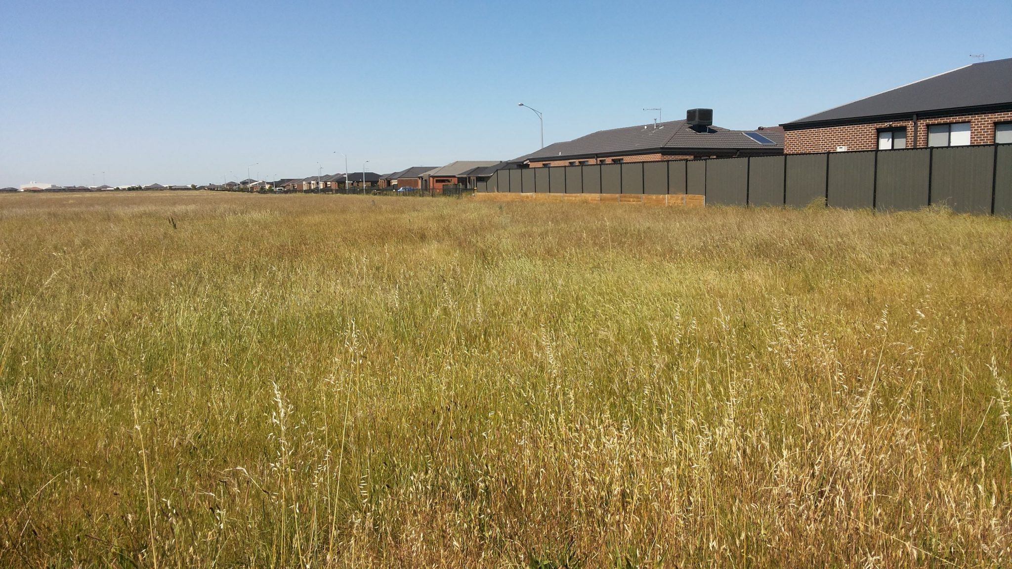 Four Ways to Reduce the Loss of Native Plants and Animals from Our Cities and Towns – The Nature of Cities Four Ways to Reduce the Loss of Native Plants and Animals from Our Cities and Towns – The Nature of Cities