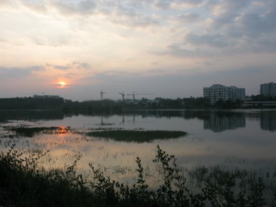 Harini-Nagendra-The-recently-restored-Kaikondrahalli-lake-in-Bangalore-restored-with-community-participation. Photo: Harini Nagendra