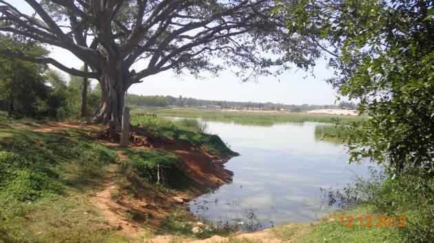 Manjunath-B-An-intact-peri-urban-lake-managed-by-the-local-village.jpg