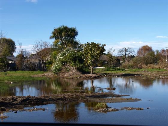 Cleared residential property in the red zone. Photo: Glenn Stewart