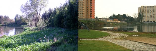 Figure 1. Variation in the management and design of meadow areas in Tres Pascualas Lagoon, Concepción. Photos: Paula Villagra