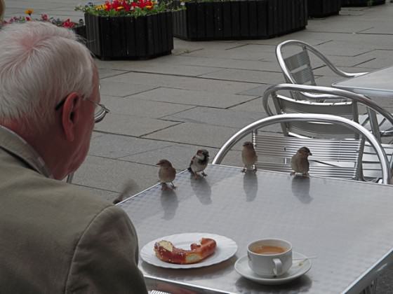 tea with sparrows