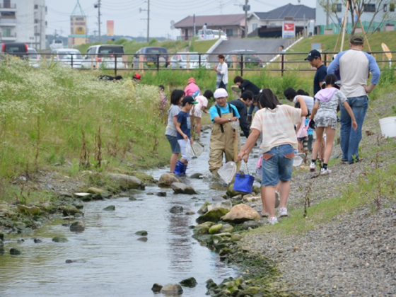 Univ. Students, primary school children and local people have collaborative work for the survey and environmental management. This is also including process planning, 2013. Photo: Keitaro ITO