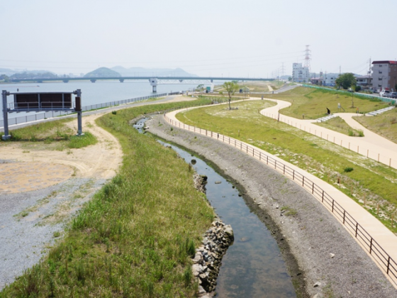 The site is gradually covered with grasses and challenging for more biodiversity. Upper part, 2013. Photo: Keitaro ITO