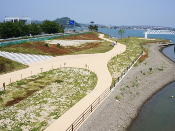 The site is gradually covered with grasses and challenging for more biodiversity; Lower part, 2013. Photo: Keitaro ITO