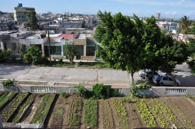 ...But, roof farming is not so recent either: La Havana, Municipio 10 de Octubre. Source: Wikimedia Commons