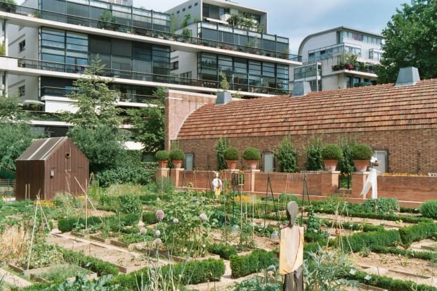 Community gardens in the Parc de Bercy – Paris. . Source: Wikimedia Commons