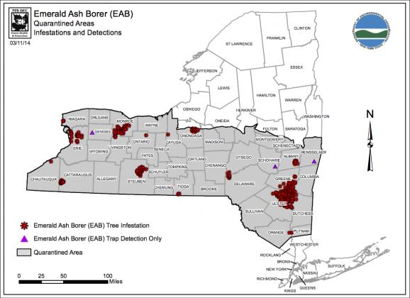 emerald ash borer map ny 2014