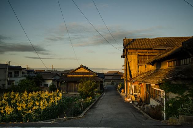 A small corn plot, adjacent to one of the many abandoned homes in Megijima. Photo: Patrick M. Lydon