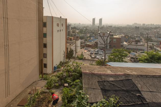 Gardens fill nearly every piece of unused public and private land in the Daedong neighborhood in South Korea. Photo: Patrick M. Lydon 