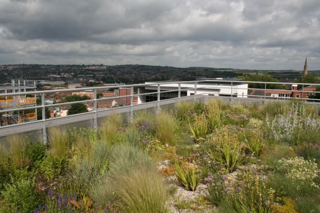 Green Roof on the top of industrial building in Sheffield, 2007