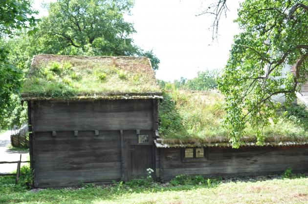 One of the Skansen Museum traditional green roofs, 2013