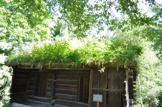 Shadowed green roof. Skansen Museum, 2013