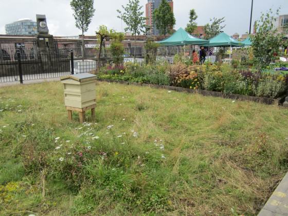 Temporary meadow in Manchester city centre. Photo: Janice Astbury