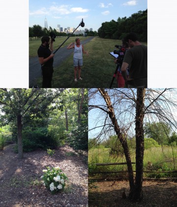 Liberty State Park in 2014. Left to right: Lisa Simms of New Jersey Tree Foundation speaks to the filmmakers; trees that sustained damage during Sandy; guerilla planting in the understory. Credit: Living Memorials Project National Registry.