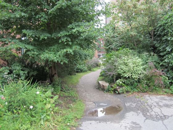 Parc Oxygene, Montrea. Photo: Janice Astbury