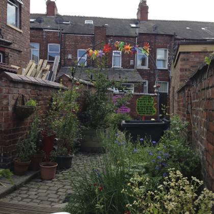 Rusholme alleyway. Photo: Janice Astbury