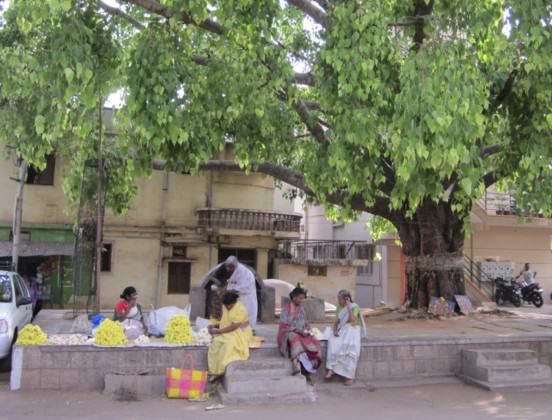 Flower vendors (left) and two women (right) having a chat, under the canopy of a sacred space in a residential locality of Bangalore. Photo: Divya Gopal.