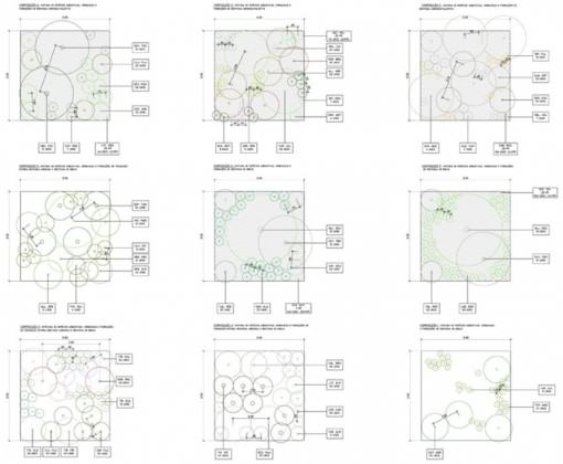 amples of vegetation compositions using mixed stratus, reptant, shrub, arboreous, epyphitesvii