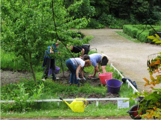 Citizens at work. Photo: Janice Astbury