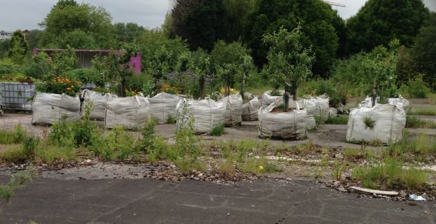 Meanwhile land, Salford. Photo: Janice Astbury